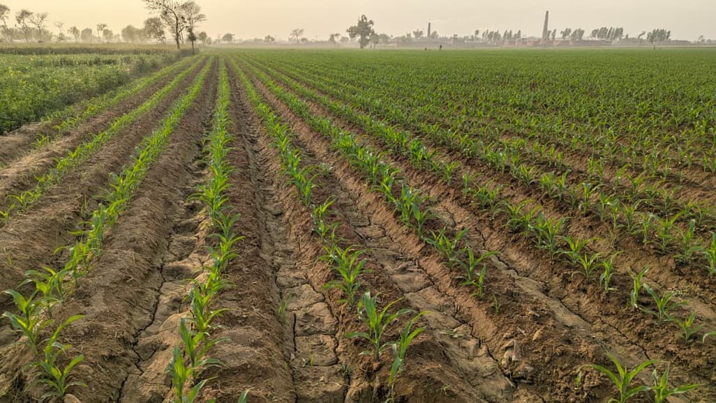 Crop Care