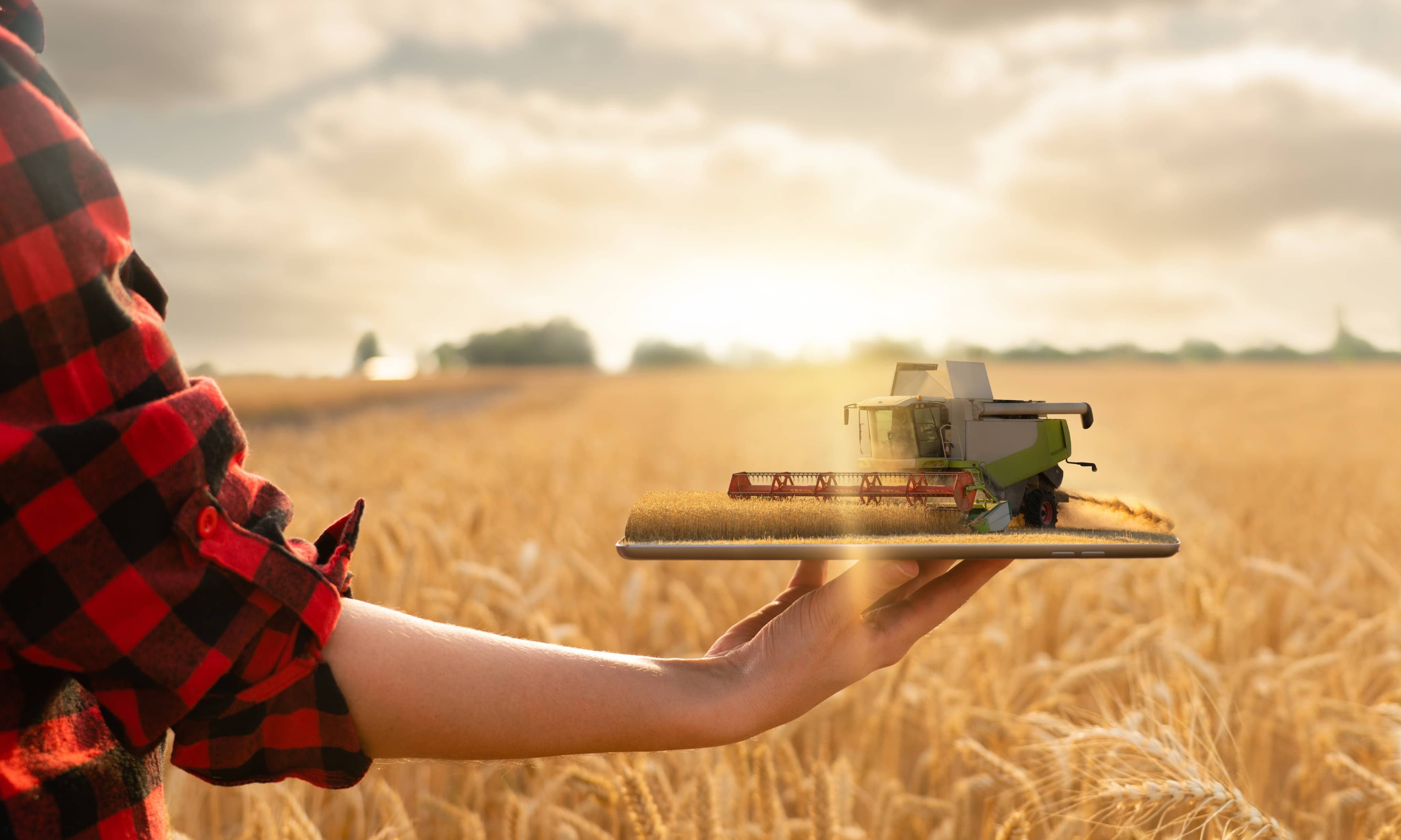 Agriculture — soil and crops