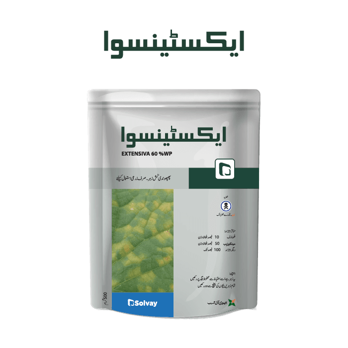 EXTENSIVA pack