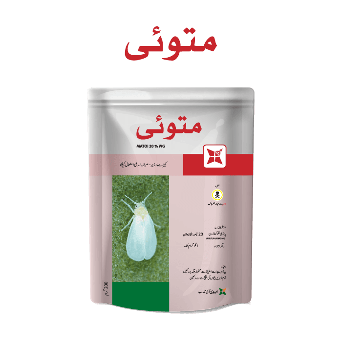 Matoi pack