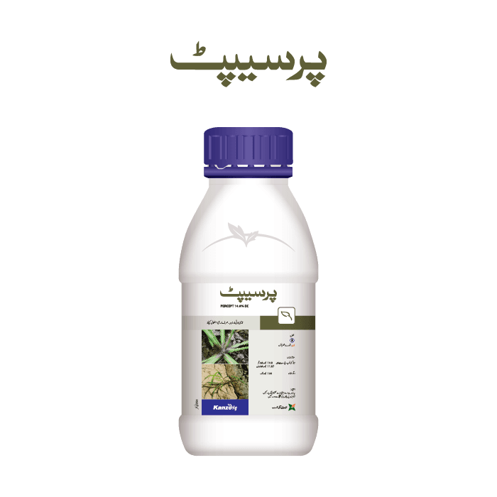 Percept pack