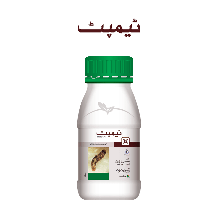 Tempt pack