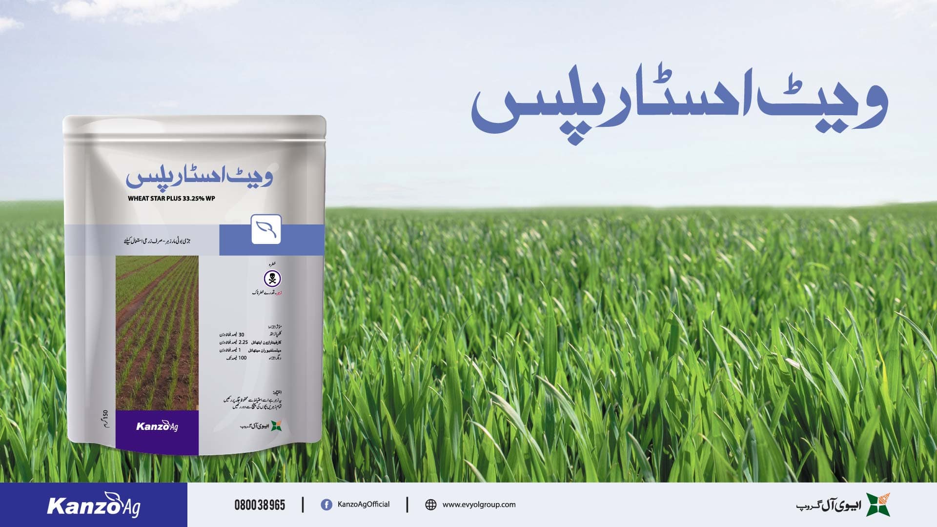 Wheat Star Plus