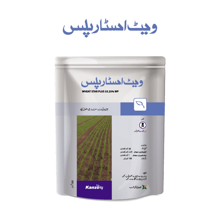 Wheat Star Plus pack