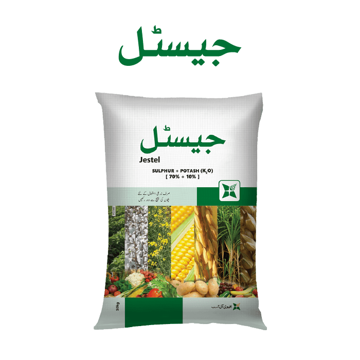 Jestal pack